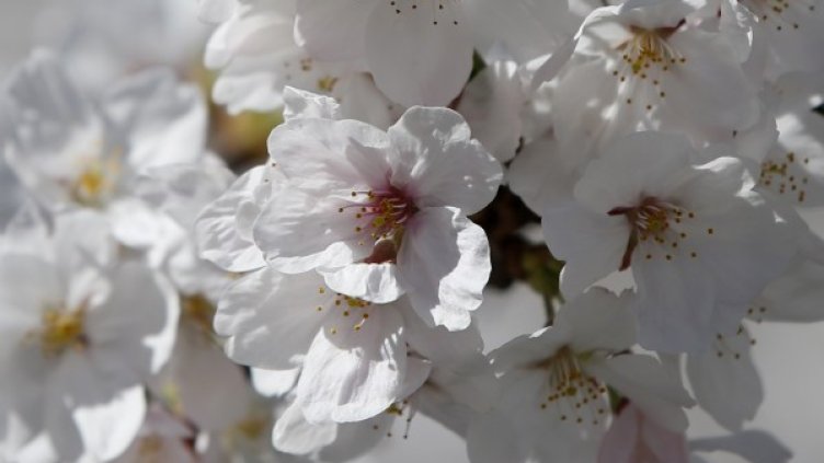 Снимка: Reuters, архив