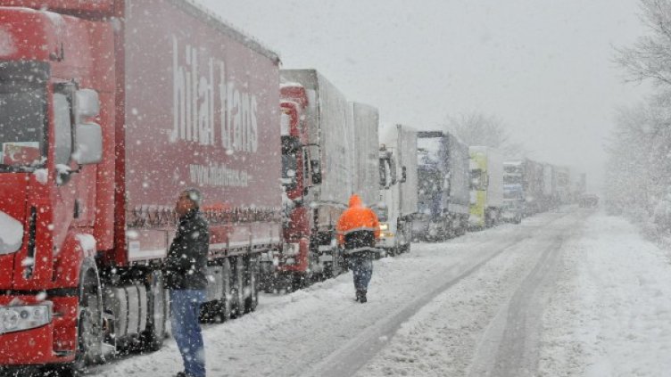 Снимка: архив Булфото