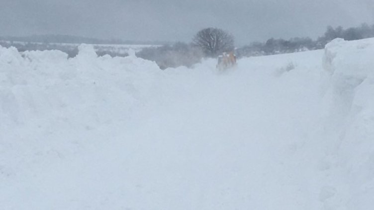 Снимка: МРРБ