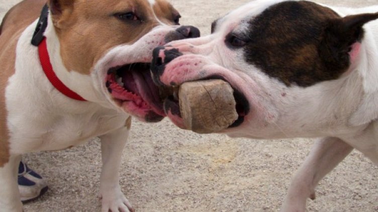 Снимка: архив Reuters