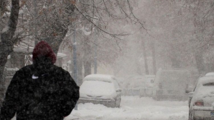 Снимка: Булфото, архив