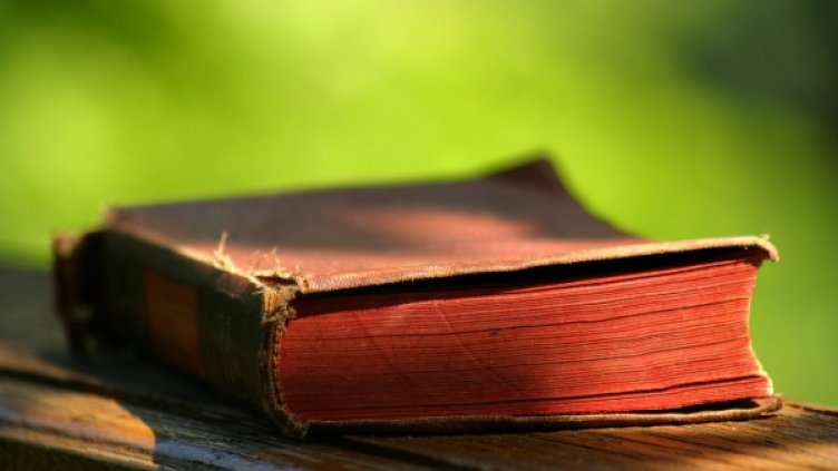 Снимка: freeimages