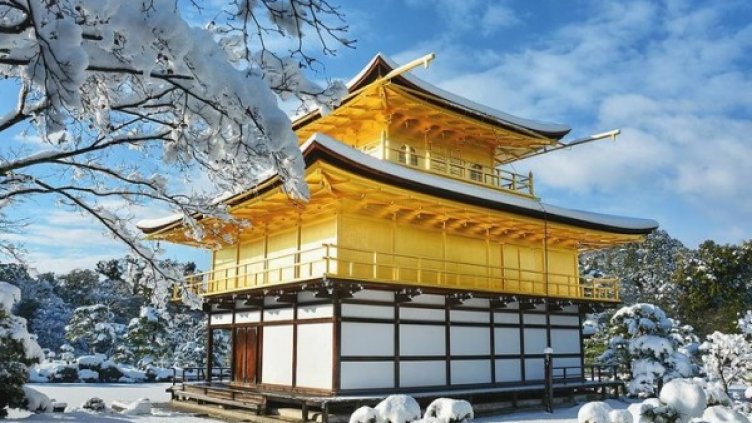 Снимка: bored panda