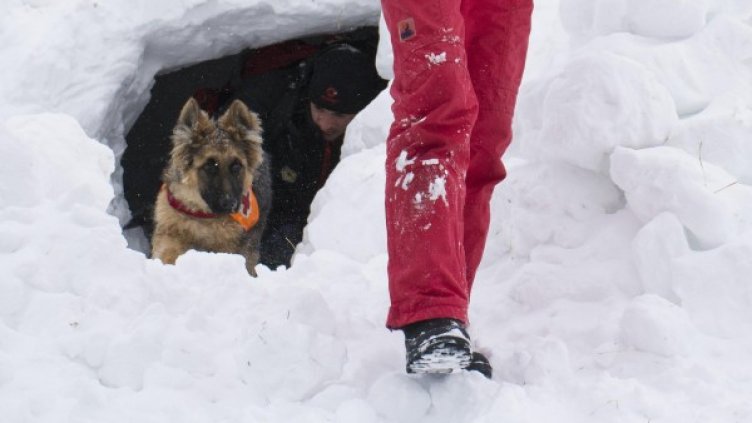 Снимка: архив, Булфото