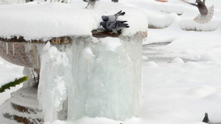 Ярхив: Булфото