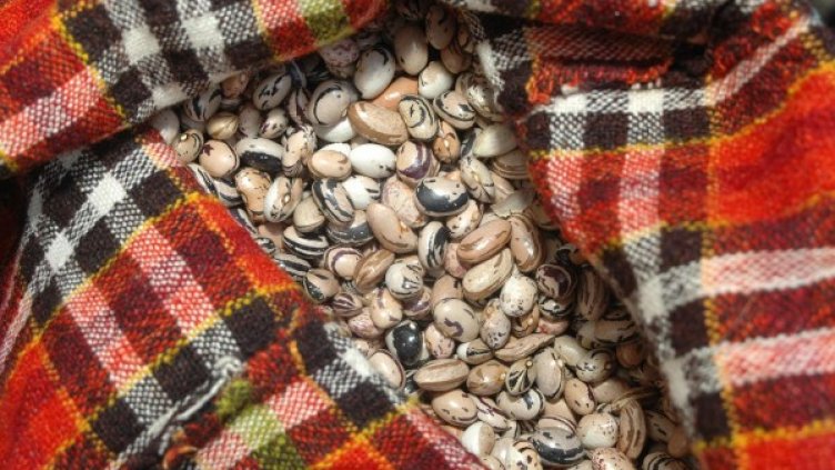 Снимка: архив, Булфото