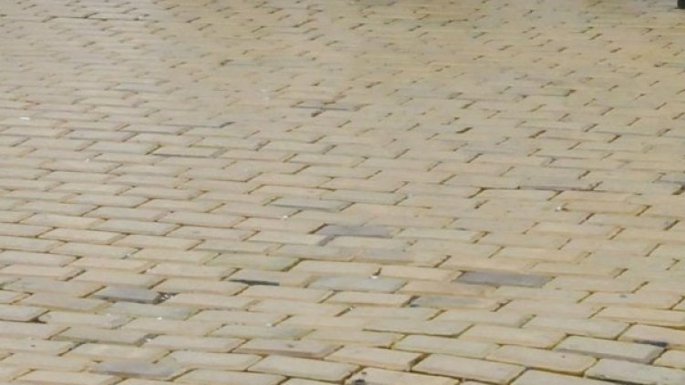 Снимка: архив, Булфото