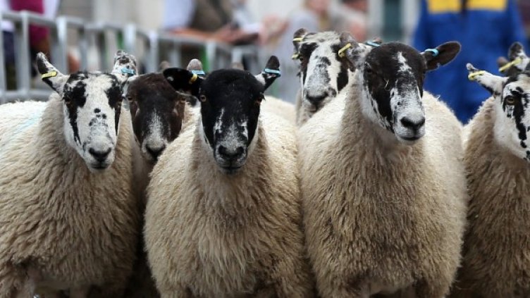 Снимка: архив Reuters