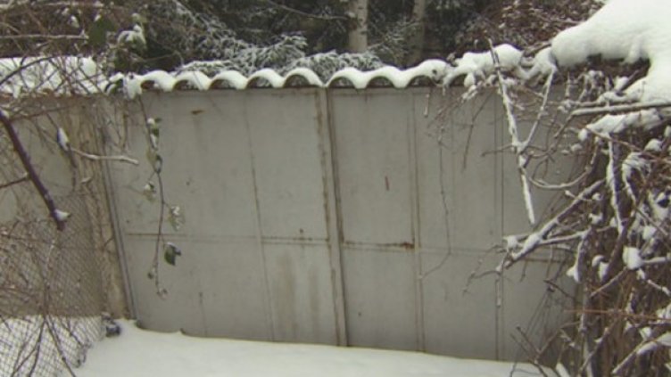 Снимка: кадър, BTV