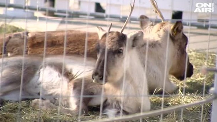 Снимка: кадър, Bulgaria ON AIR