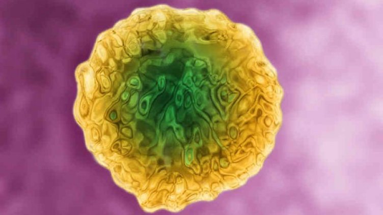 Здравната каса на "поправителен" с преговорите за лечение на хепатит С