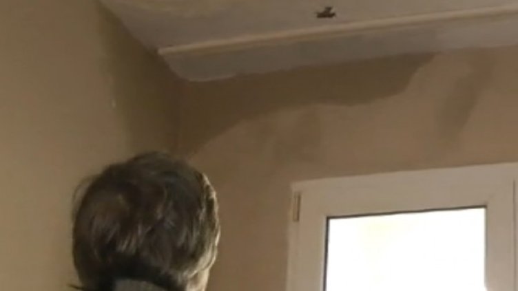 Снимка: bgonair.bg