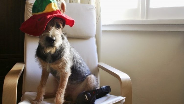 Снимка: Flickr.com