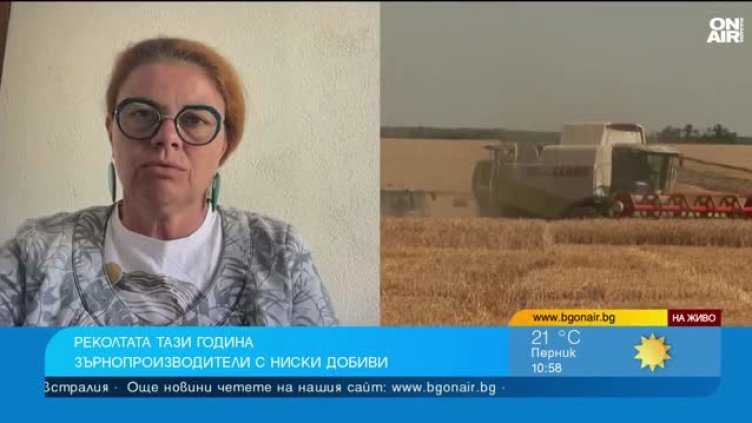 Житницата на България е съсипана, ще има фалити