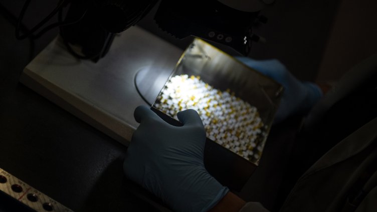 Снимка: архив, БГНЕС