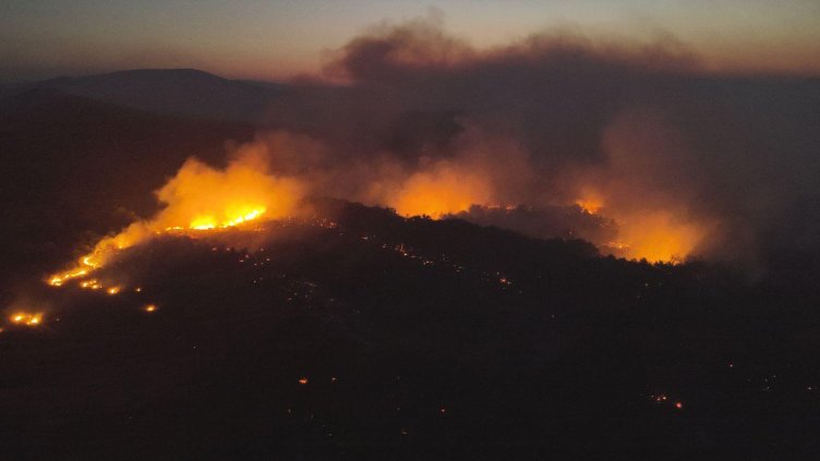 Снимка: БГНЕС