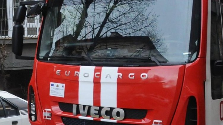 Снимка: архив, БулФото