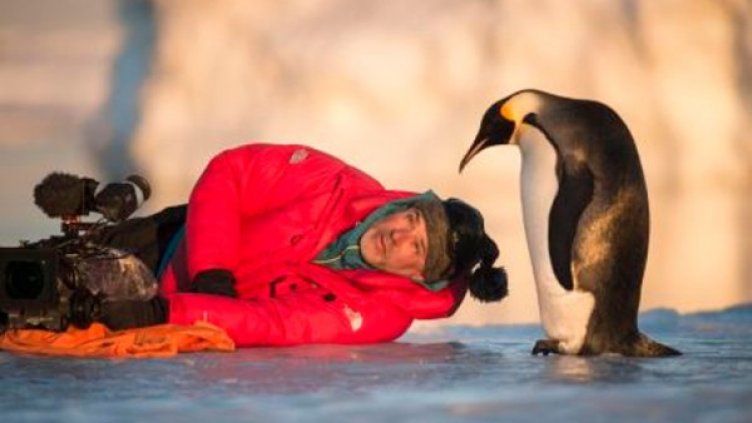 Снимка: София Филм Фест