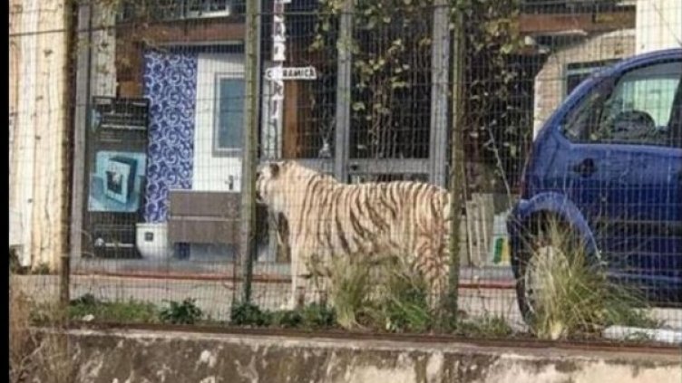 Снимка: Twitter