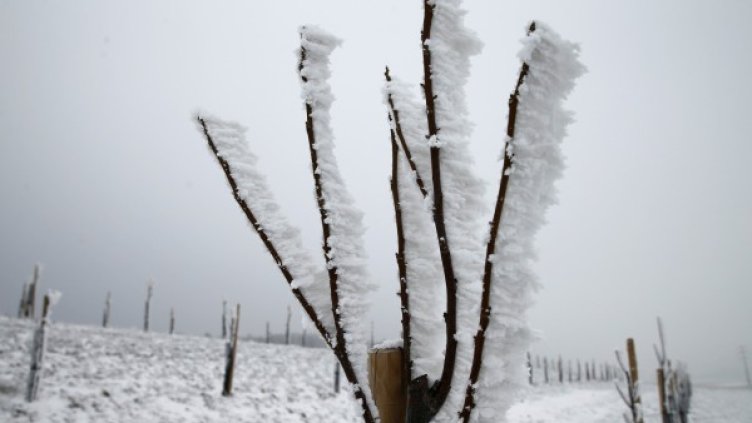 Снимка: архив Reuters