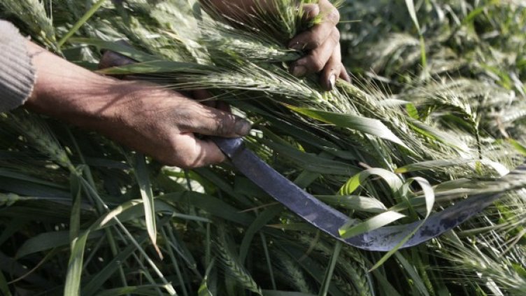 Снимка: Reuters, архив