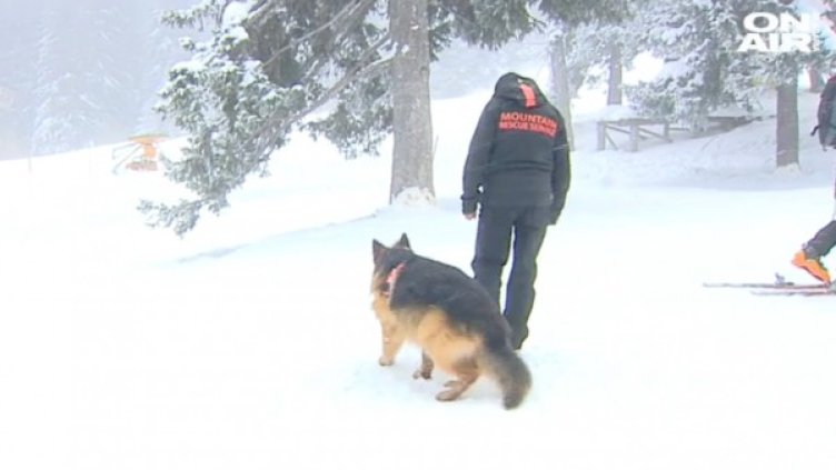 Снимка: Bulgaria On Air