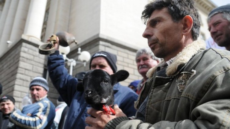 Снимка: архив Булфото