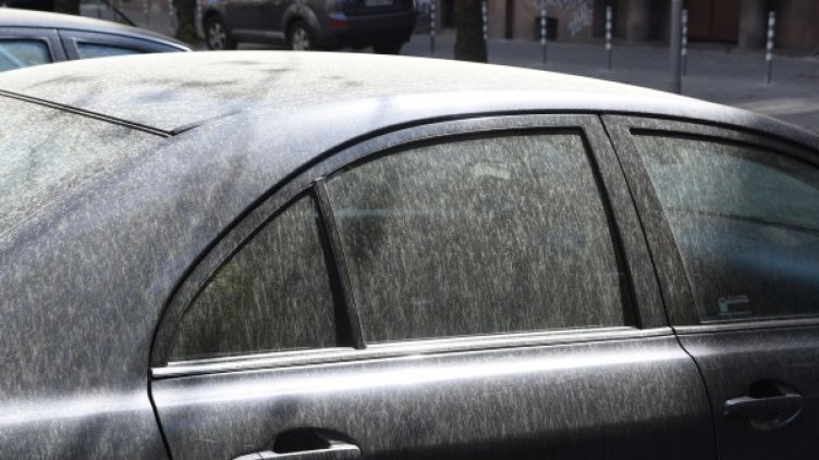 Архив: Булфото