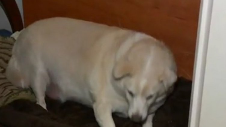 Снимка: Кадър, Нова тв