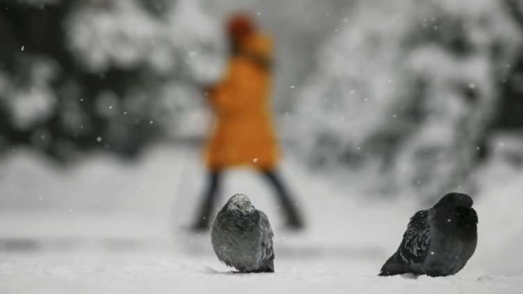 Снимка: архив, Reuters