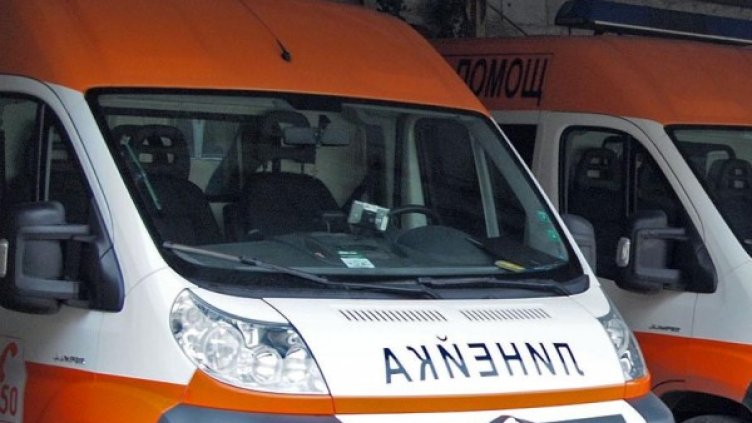 Снимка: Булфото, архив