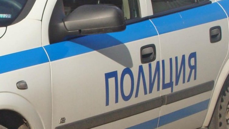 Снимка: Архив, Булфото