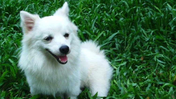 Снимка: freeimages