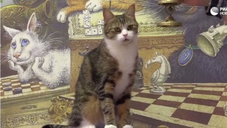 Снимка: кадър РИА новости