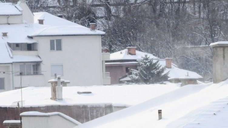 Снимка: Булфото, архив