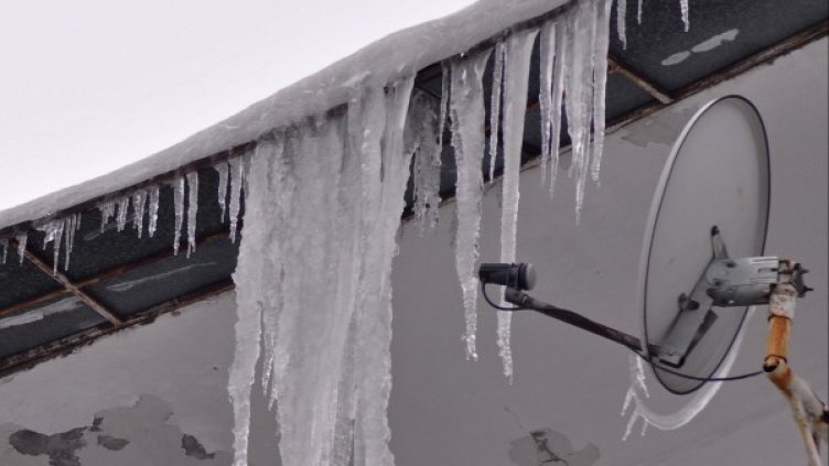 Снимка: архив Булфото