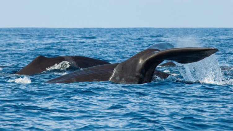 Снимка: архив, Reuters