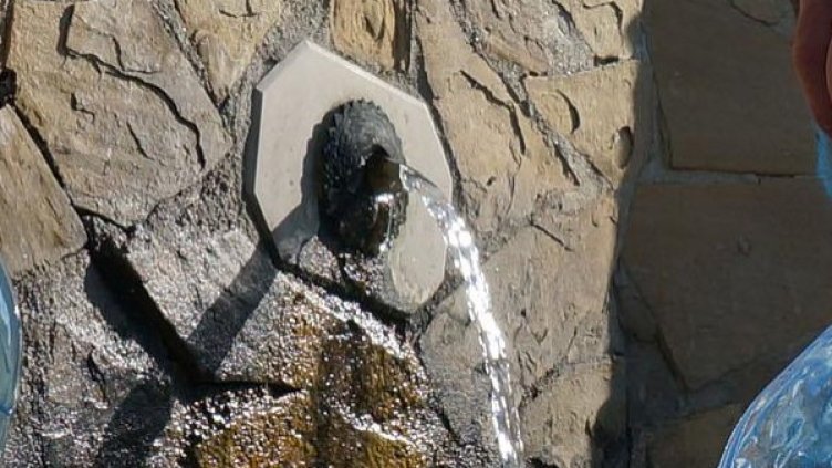 Снимка: Булфото, архив