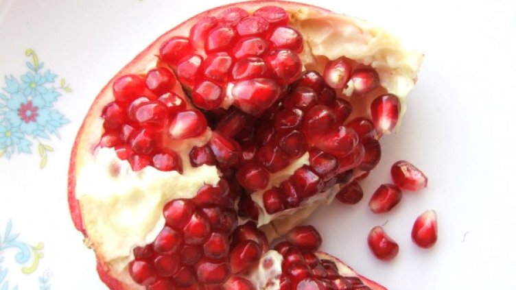 Снимка: freeimages