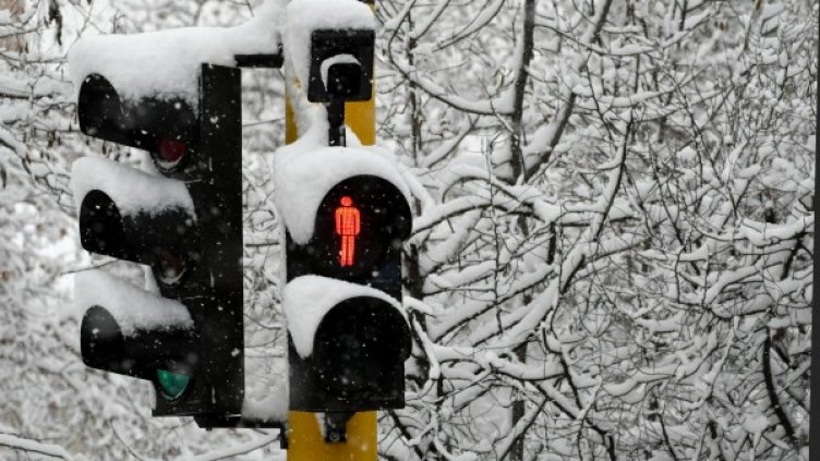 Снимка: архив Булфото