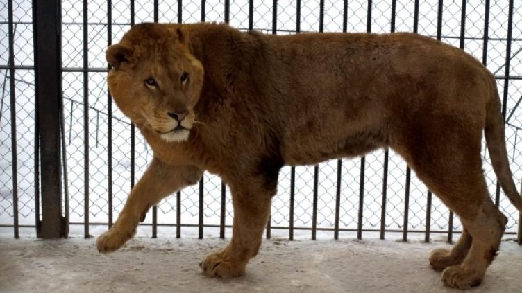 Снимка: Булфото, архив