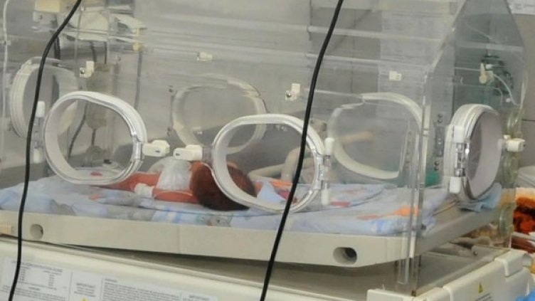 Снимка: Булфото, архив