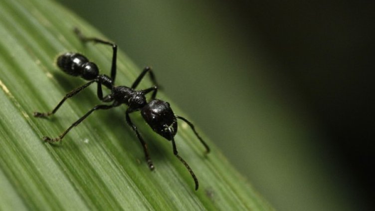 Снимка: Reuters, архив