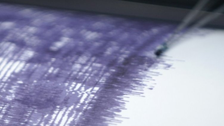 Снимка: Reuters, архив