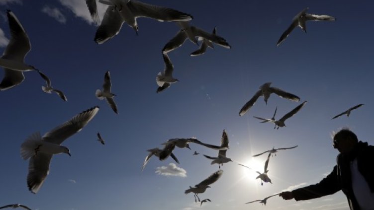 Снимка: Reuters, архив