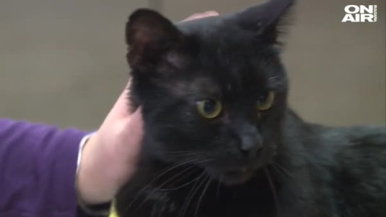 Снимка: Bulgaria ON AIR