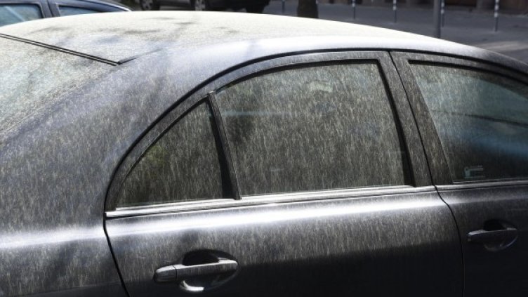 Снимка: архив, Булфото