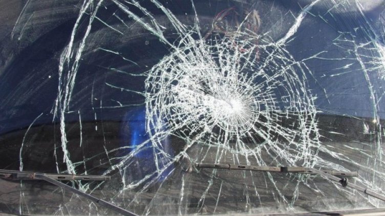 Снимка: архив Булфото