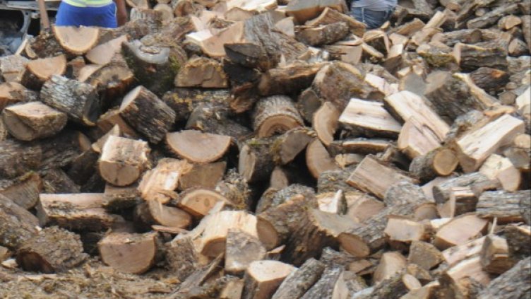 Снимка: Булфото, архив