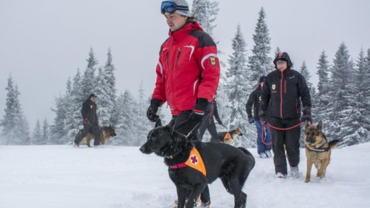 Снимка: Булфото, архив